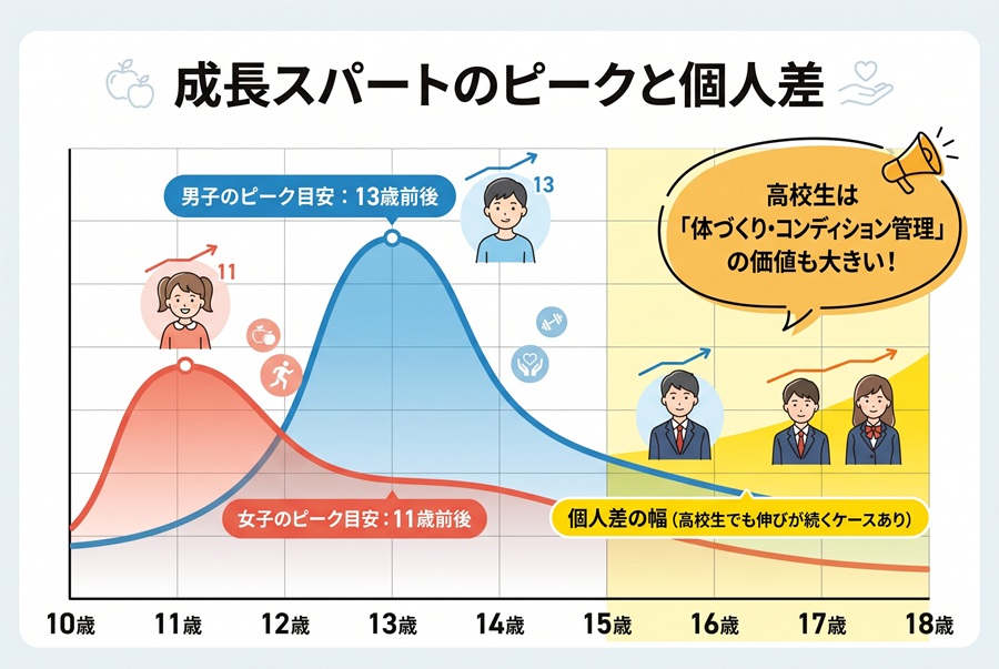 成長スパートのピークは男子13歳前後・女子11歳前後。個人差があり高校生でも伸びる時期が続くケースがあることを示すイメージ図
